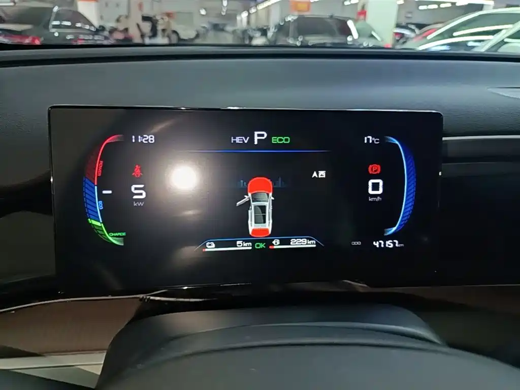 BYD Song Pro New Energy 2022 DM-i 51km Premium фото 12