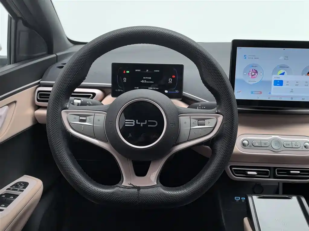 BYD Seagull 2025 Smart Drive Edition 305km Vitality Version фото 11