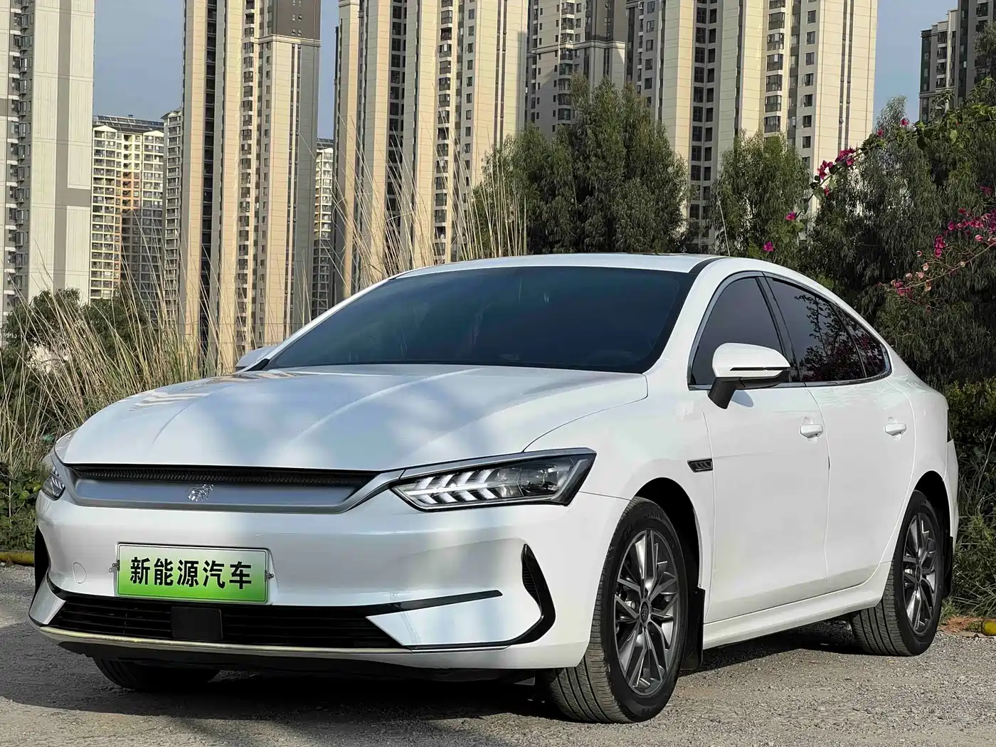 BYD Qin PLUS 2021 EV 500KM Luxury Model