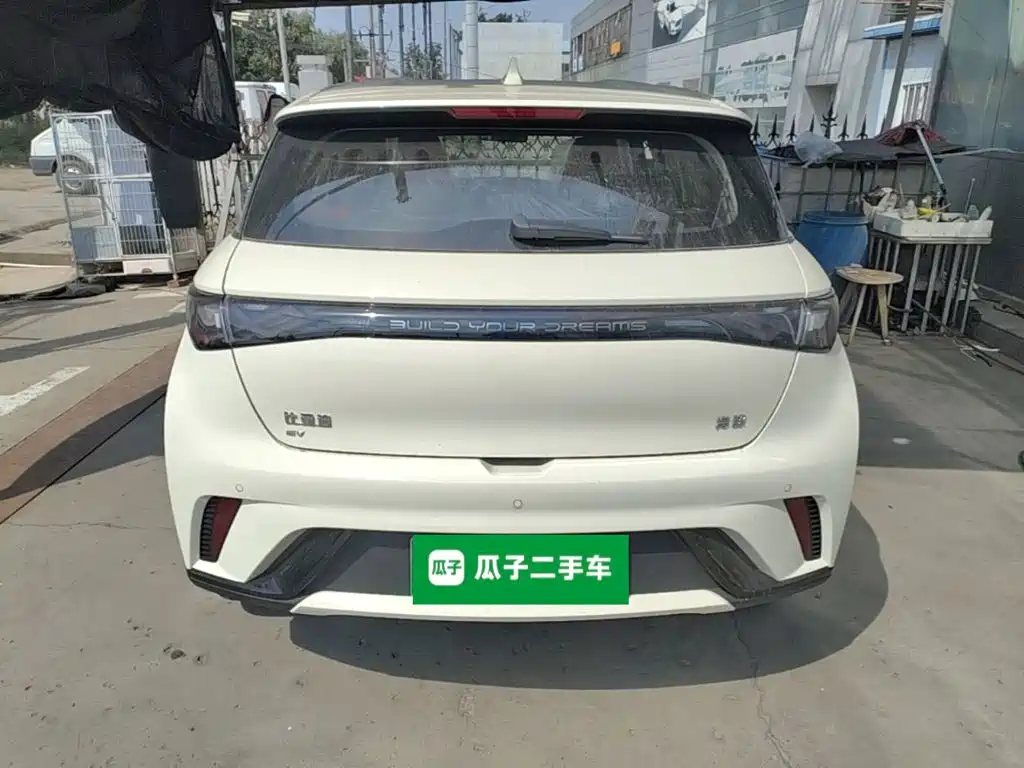Фото 6 - BYD Dolphin
