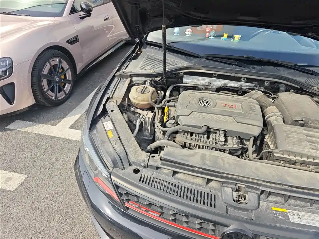 Volkswagen Lamando 2017 2.0T GTS фото 21