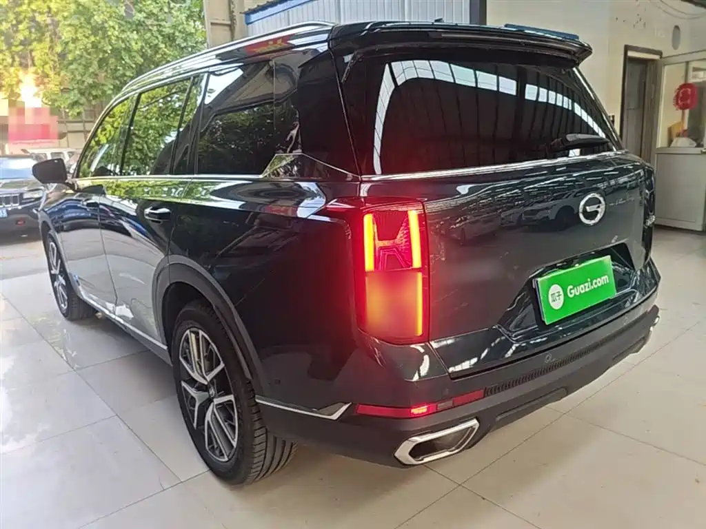 GAC Trumpchi Trumpchi GS8 2022 Pilot Series 2.0TGDI 2WD Premium Edition (6-Seater) фото 5