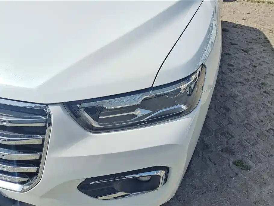 Haval H6 2020 1.5GDIT Automatic Platinum Champion Edition фото 5