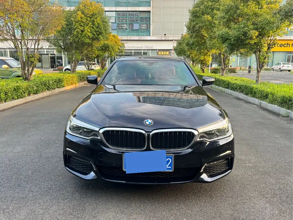 BMW 5 Series 2019 530Li Premium M Sport Package фото 2