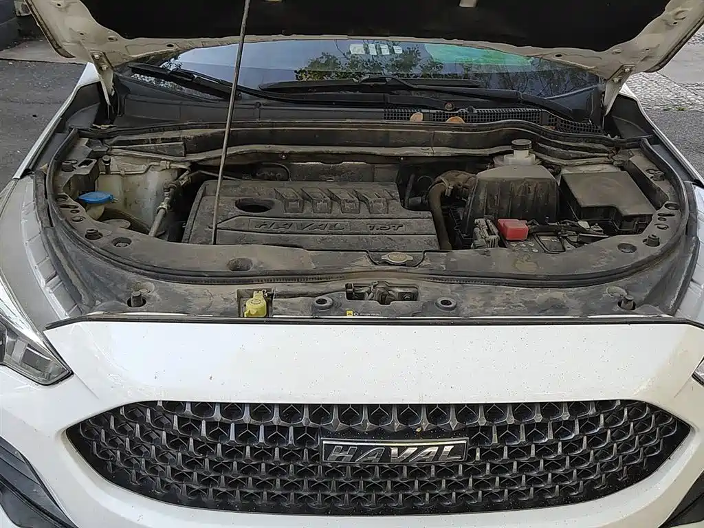 Haval M6 2019 1.5T DCT 2WD Value Edition (China VI) фото 11