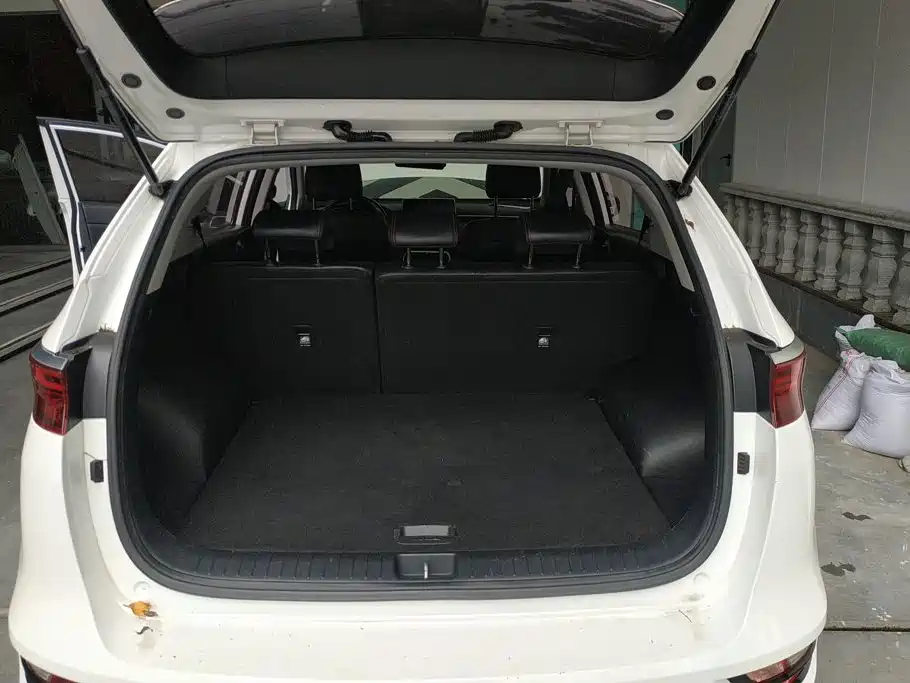 Kia KX5 2019 2019 1.6T Automatic 2WD Luxury Edition