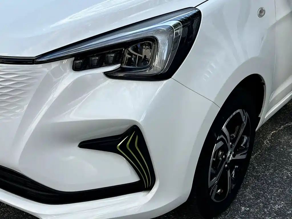 Changan Benben E-Star 2022 2020 Heartbeat Edition (NMC Battery)