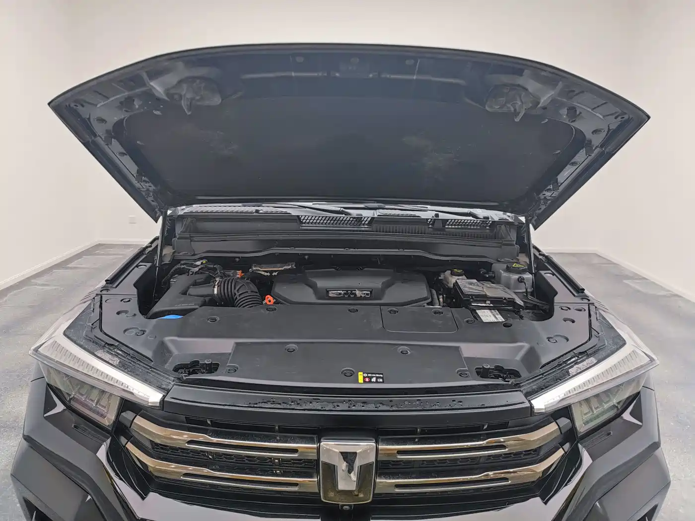 Tank 400 New Energy 2024 2024 Hi4-T Off-Road Edition