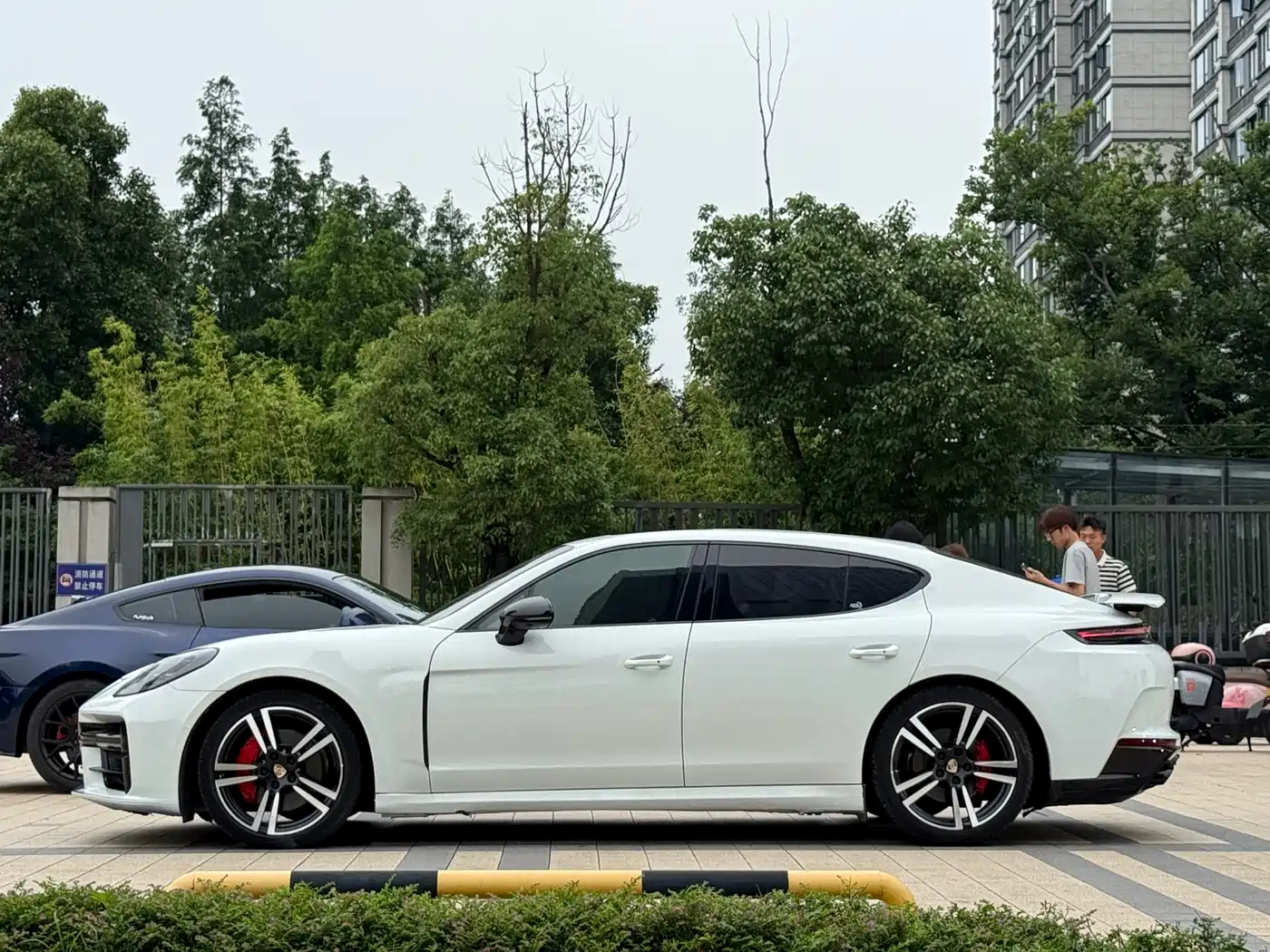 Porsche Panamera 2014 Panamera 3.0T фото 3