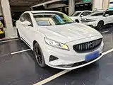 Фото 4 - Geely Borui