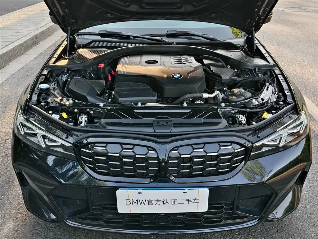 BMW 3 Series 2023 325Li M Sport Black Night Package фото 14