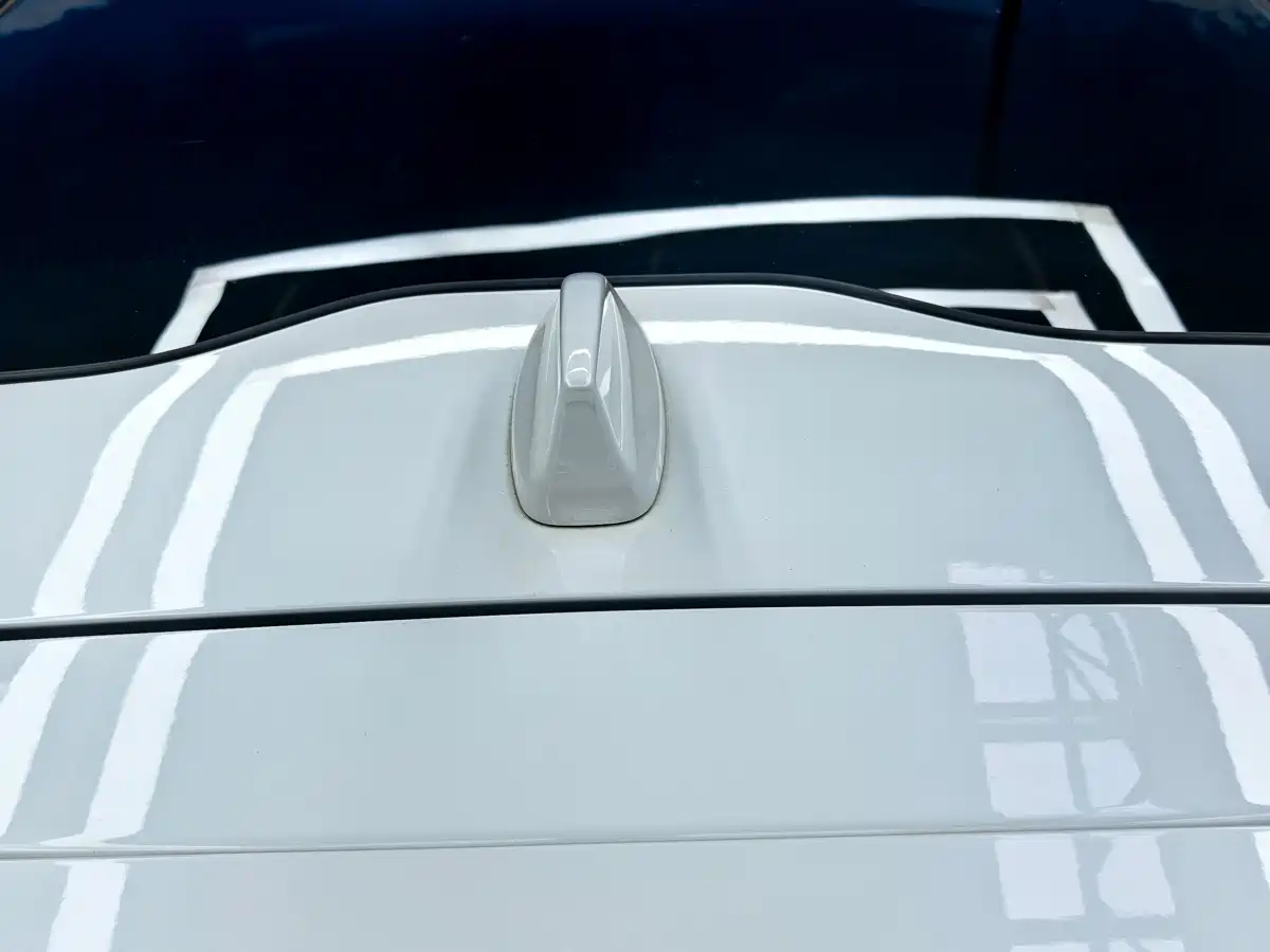  XR-V