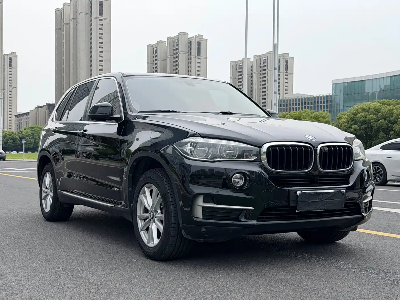 BMW X5 (Import) 2017 xDrive35i Elegance фото 2