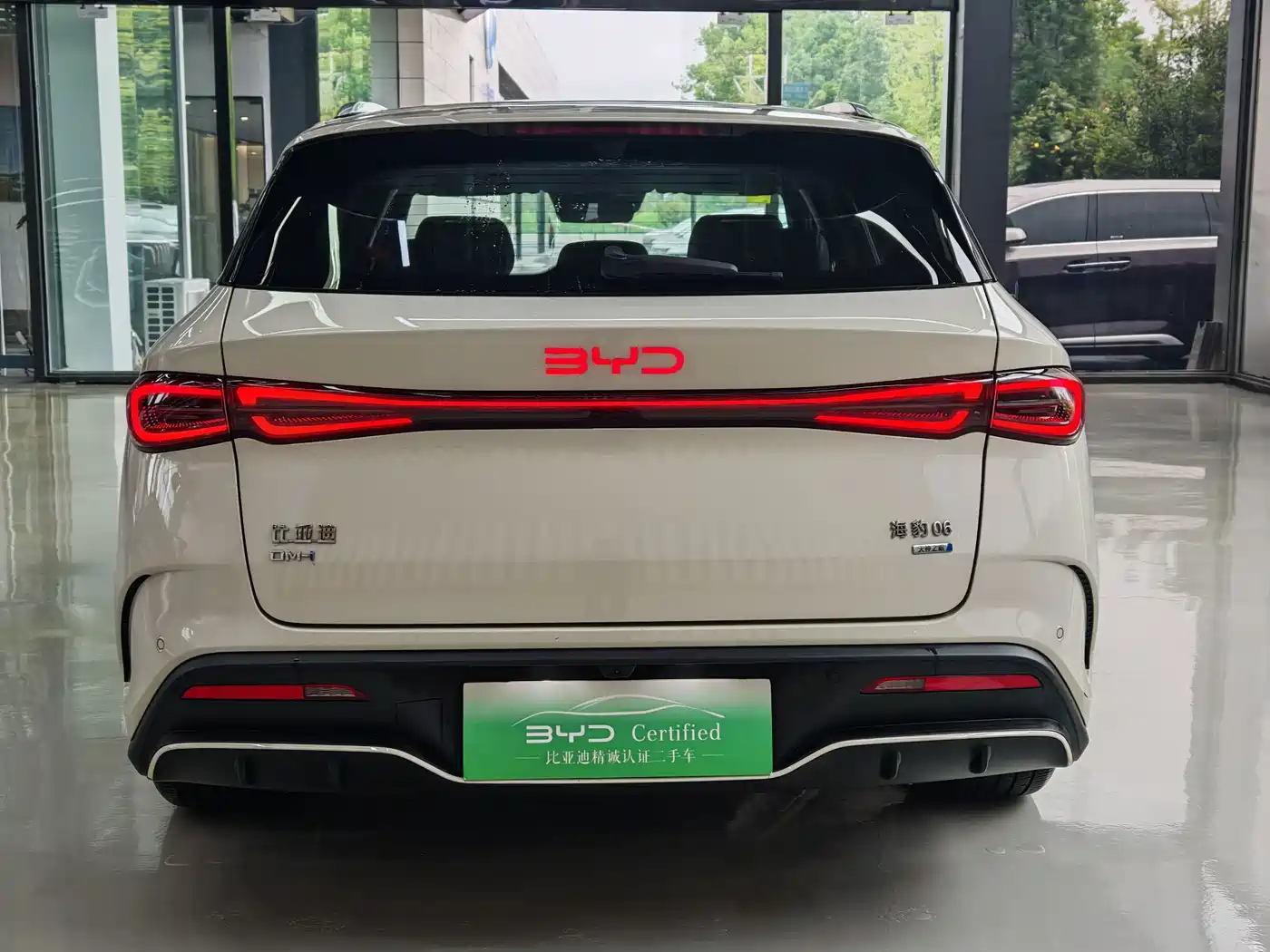BYD Seal 06 DM-i Touring 2025 2025 DM-i 150KM Flagship