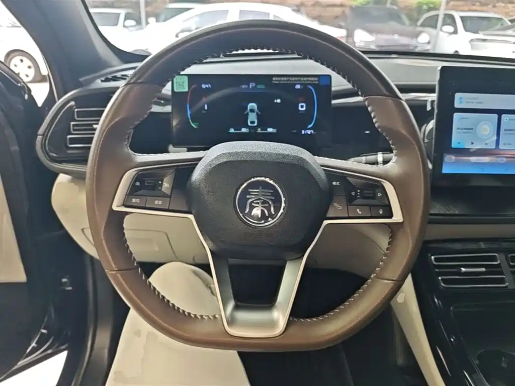 BYD Qin PLUS 2024 Glory Edition DM-i 55KM Leading фото 11