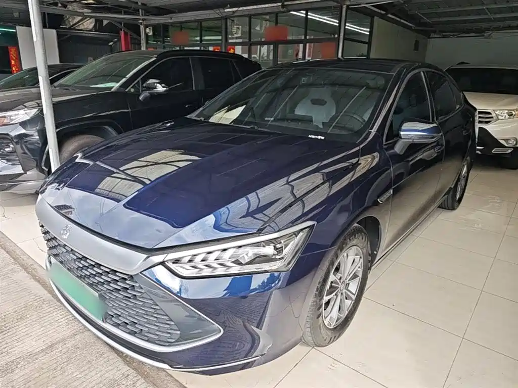 BYD Qin PLUS 2024 Glory Edition DM-i 55KM Leading фото 2