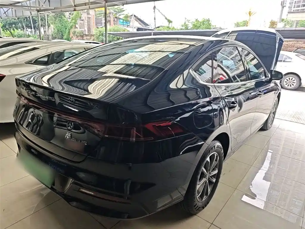 BYD Qin PLUS 2024 Glory Edition DM-i 55KM Leading фото 7