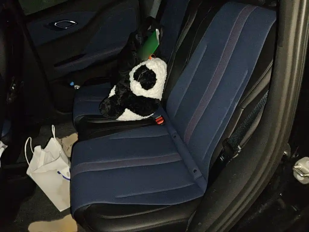 BYD Seagull 2024 Glory Edition 405km Soaring Edition фото 15