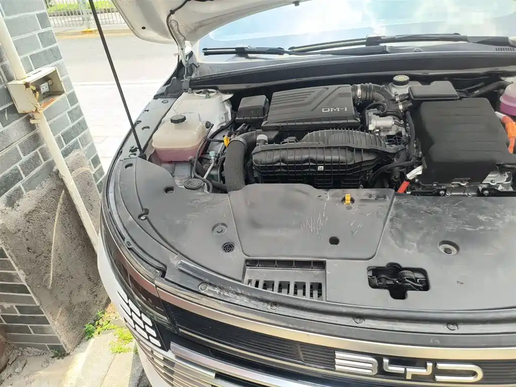 BYD Destroyer 05 2024 Glory Edition DM-i 55KM Luxury фото 21