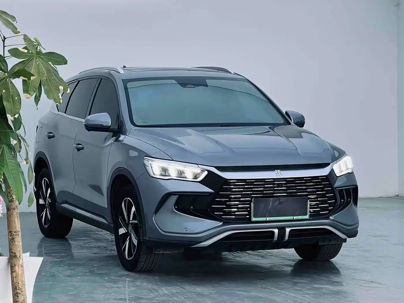 BYD Song Pro New Energy 2023 Champion Edition DM-i 110KM Surpassing Type фото 3