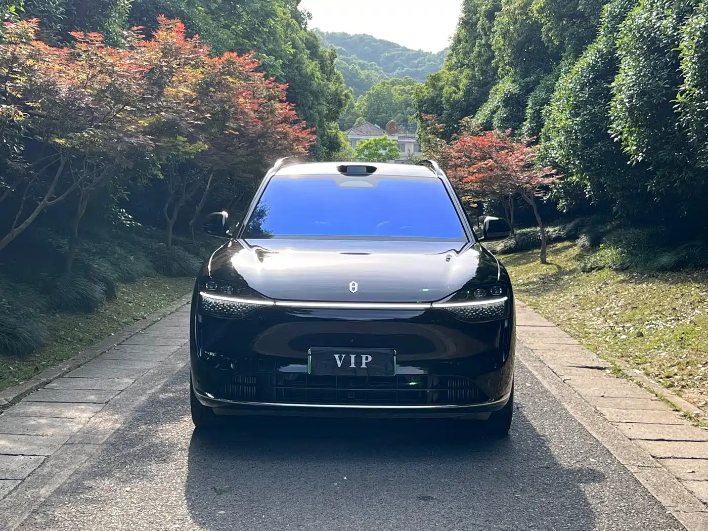 AITO Wenjie AITO M9 2024 Extended Range Ultra 42kWh 6-Seater фото 8