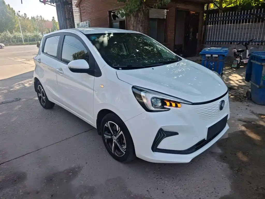 Changan Benben E-Star 2021 2020 Heartbeat Edition (NMC Battery)