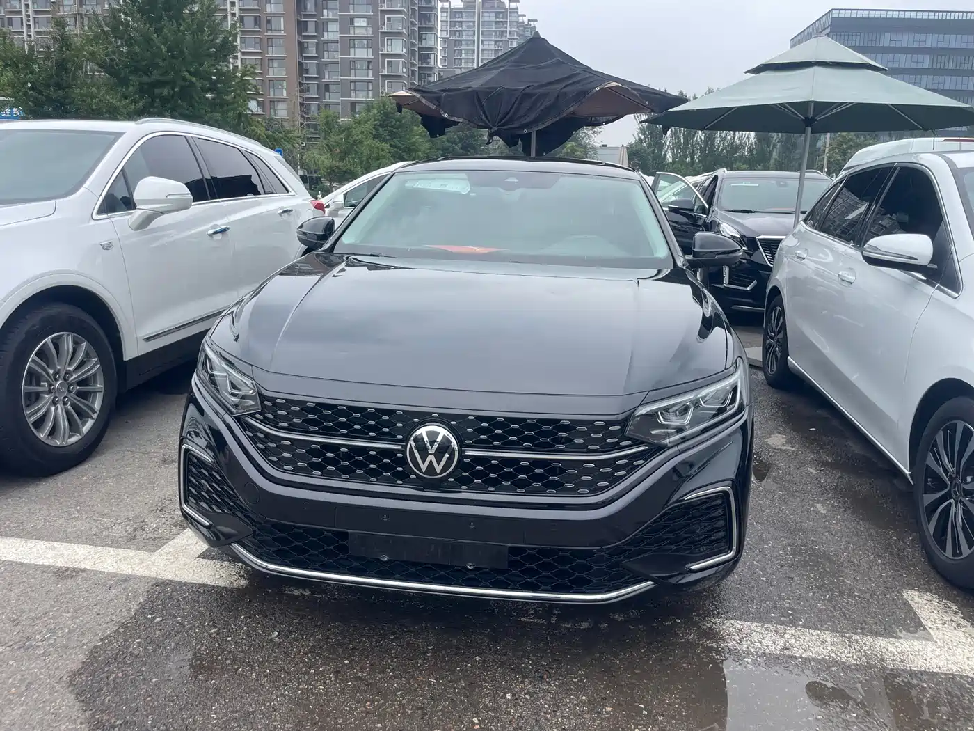 Фото 2 - Volkswagen Passat