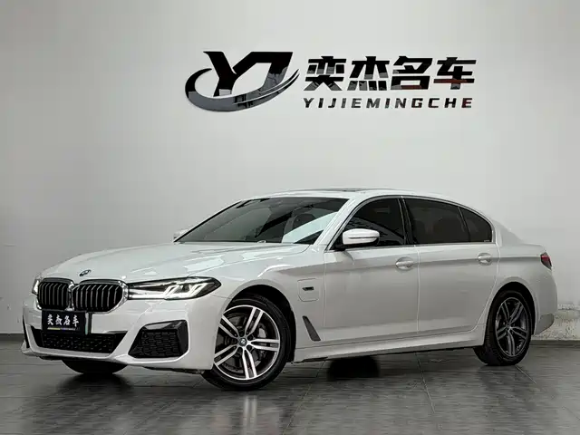 BMW 5 Series New Energy 2022