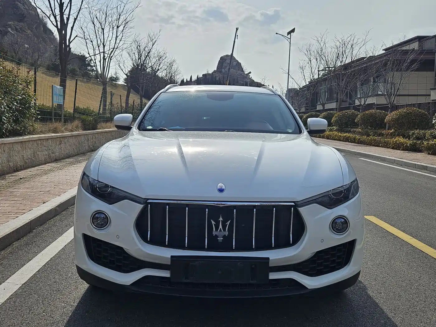 Maserati Levante 2016 3.0T Standard фото 2