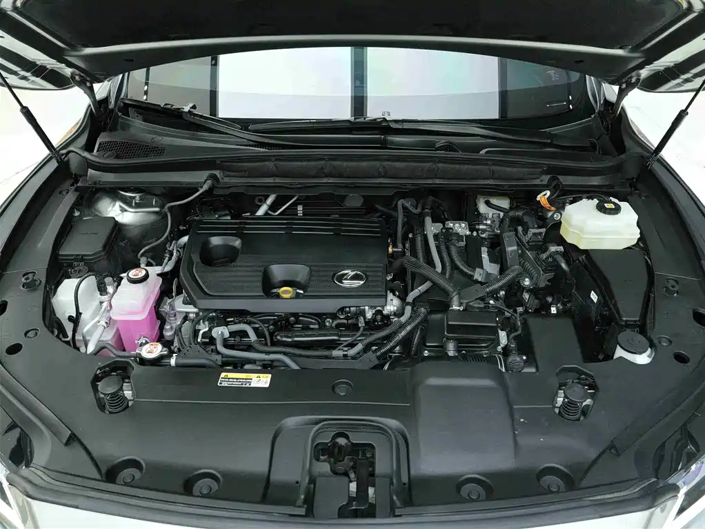 Lexus RX 2023 350h 2WD Joy Edition фото 22