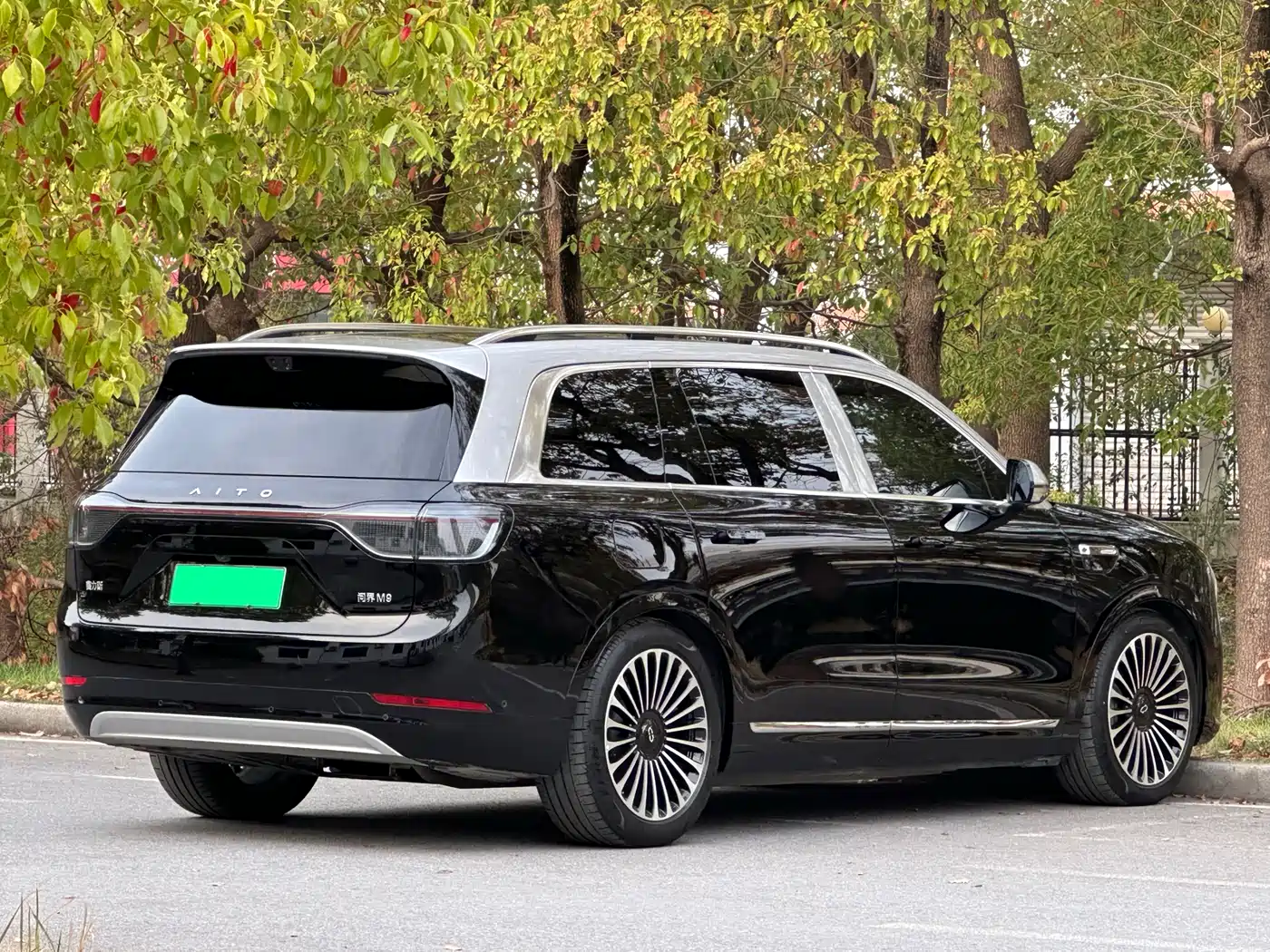 AITO Wenjie AITO M9 2025 Extended Range Ultra 52kWh 6-Seater фото 4