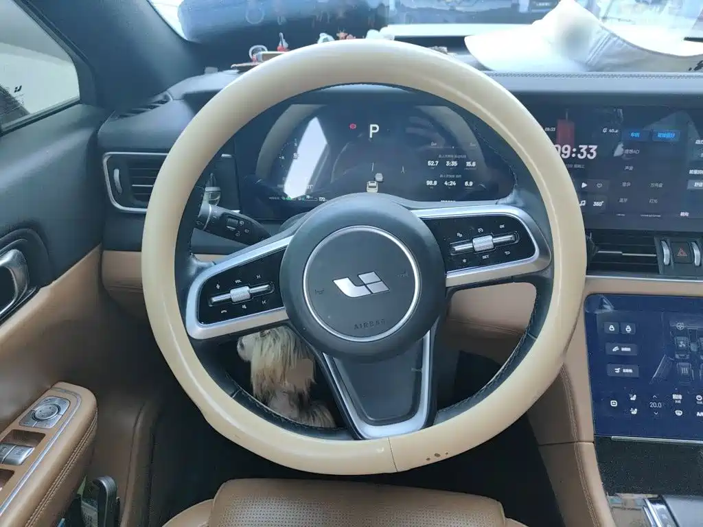 Фото 6 - Li Auto Li ONE