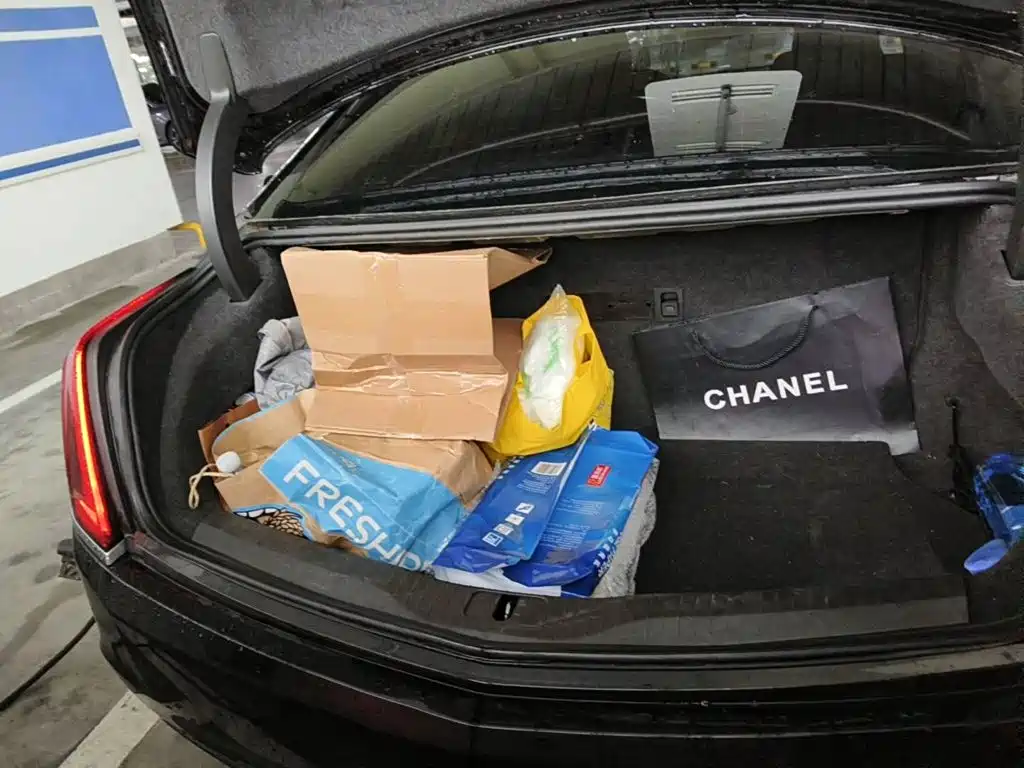 Cadillac CT6 PLUG-IN 2018 2017 30E Elite