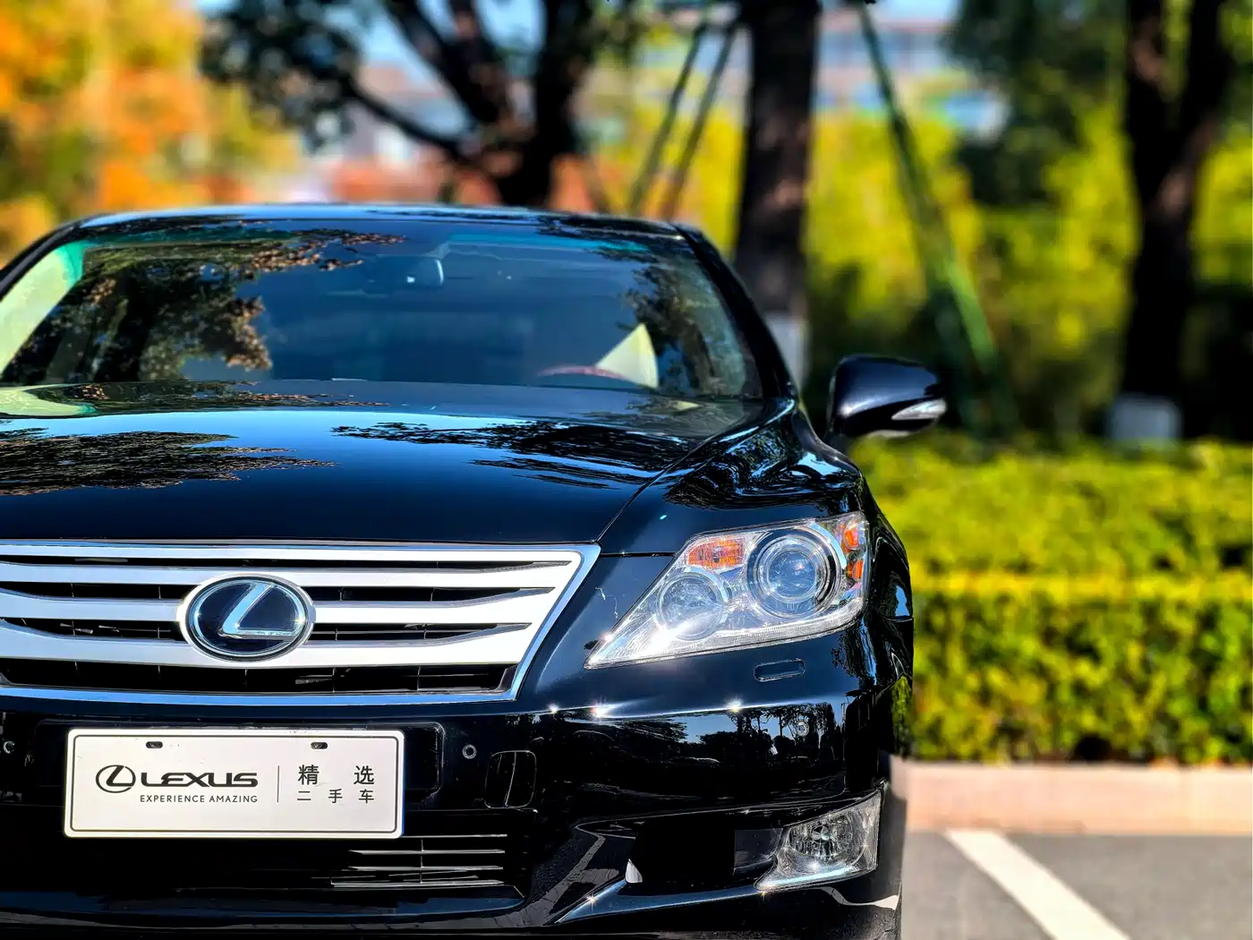 Lexus LS 2010 600hL фото 3