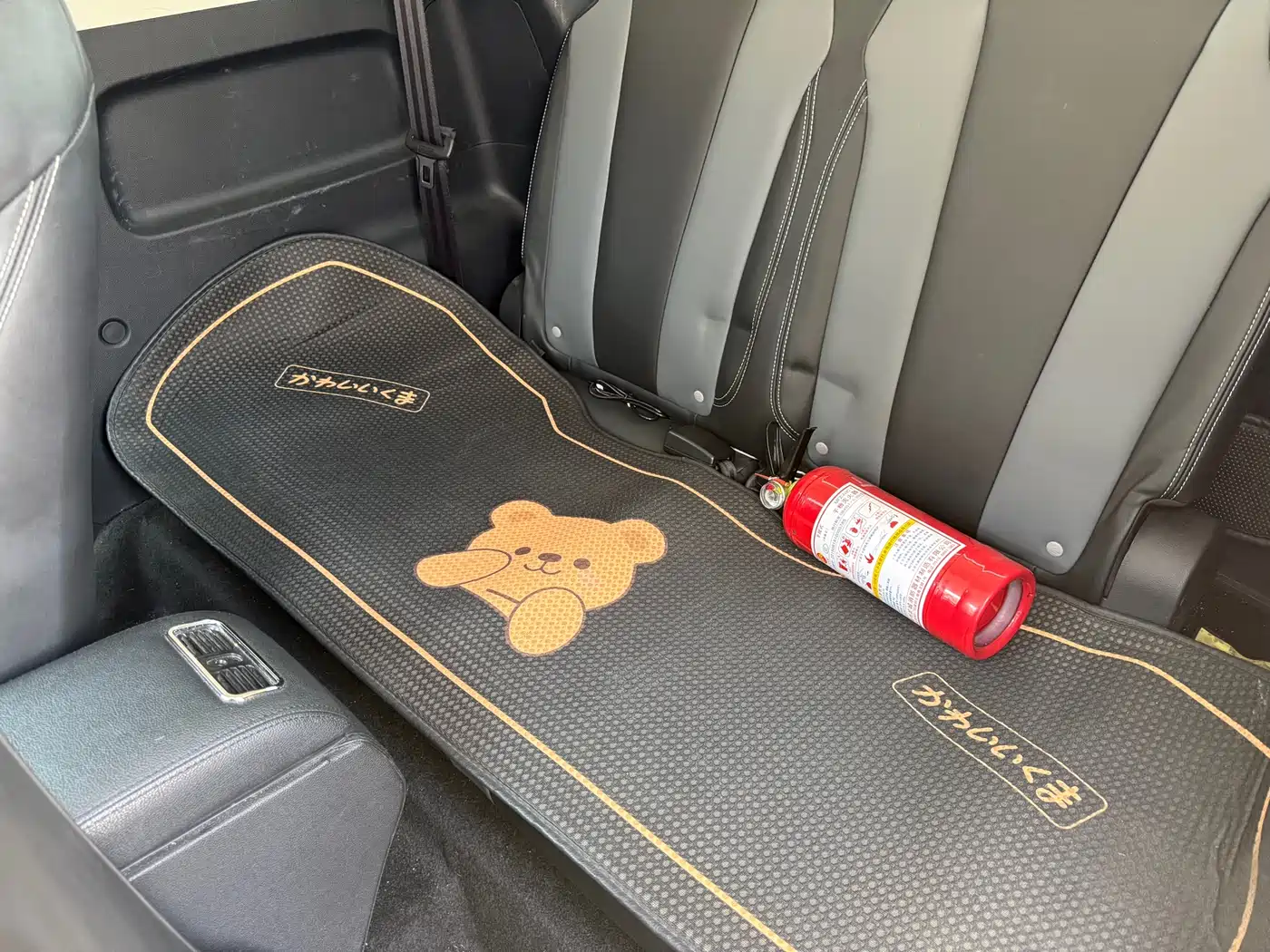 ROEWE CLEWE CLEVER