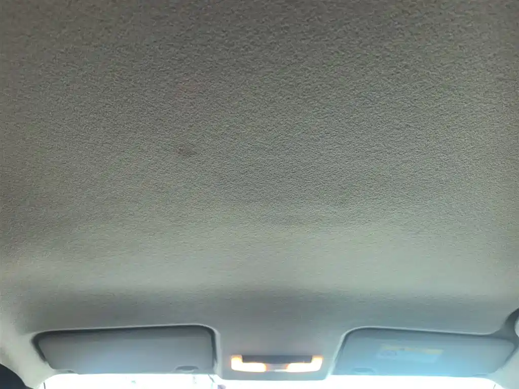 NISSAN JINKE