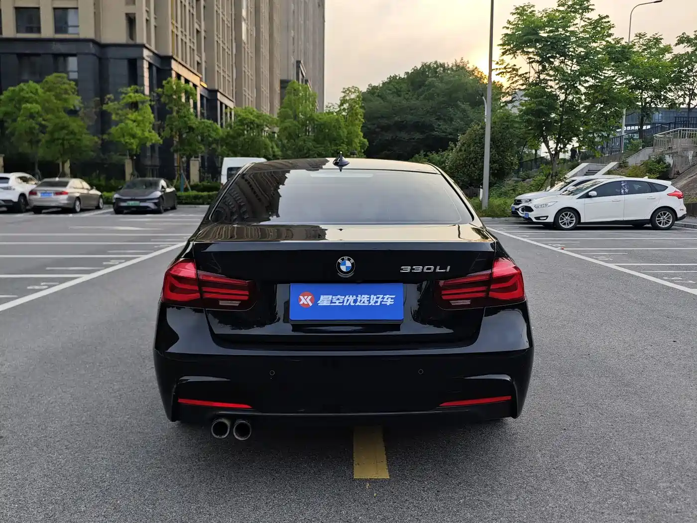 BMW 3 Series 2019 320Li M Sport Black Night Edition фото 16