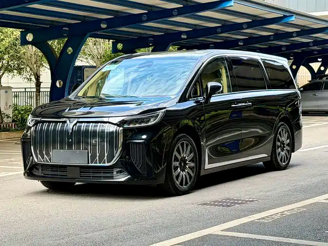Voyah Auto Voyah Dreamer 2025