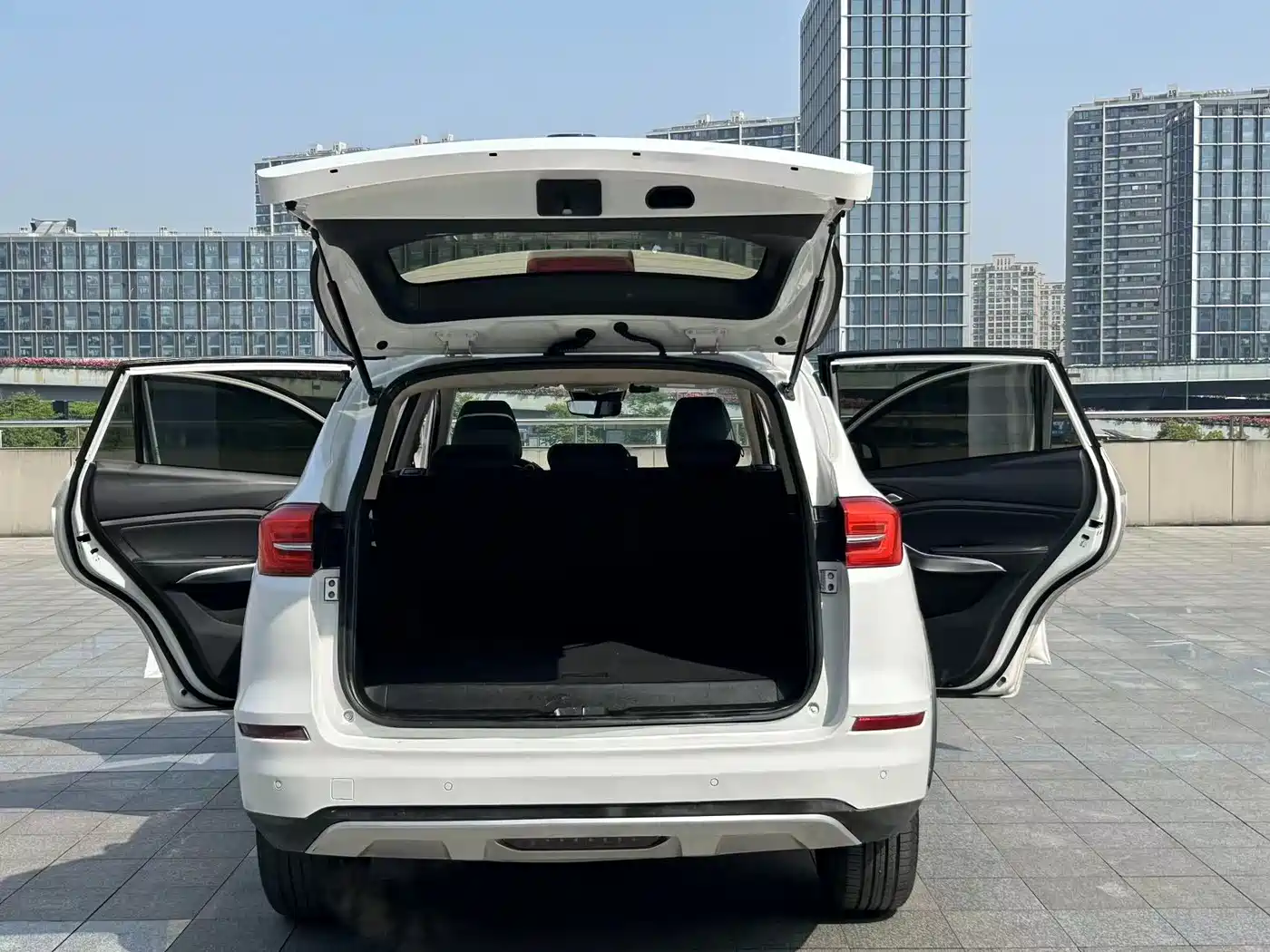 BYD SONG XINNENG