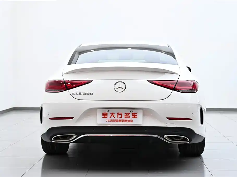 Mercedes-Benz CLS 2022 CLS 300 Luxury фото 8