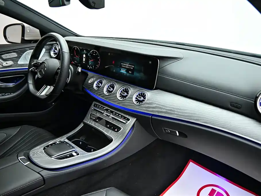Mercedes-Benz CLS 2022 CLS 300 Luxury фото 15