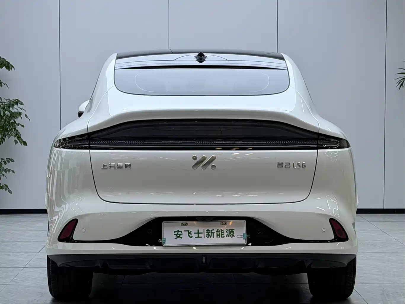 ZHIJI AUTOMOBILE ZHIJI LS6