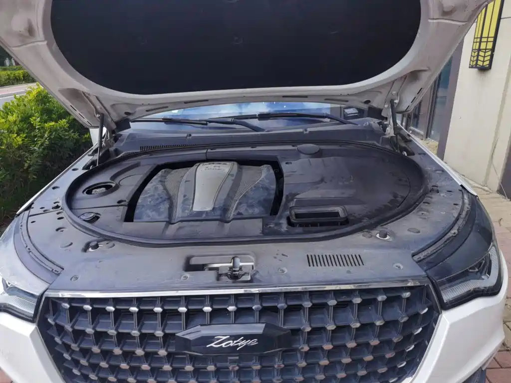 Zotye T700 2017 2017 1.8T DCT Prestige