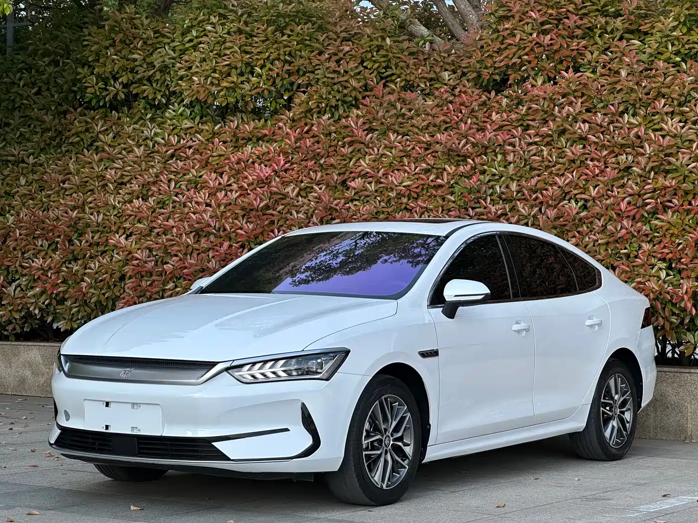 BYD Qin PLUS 2021 EV 400KM Luxury Model фото 11