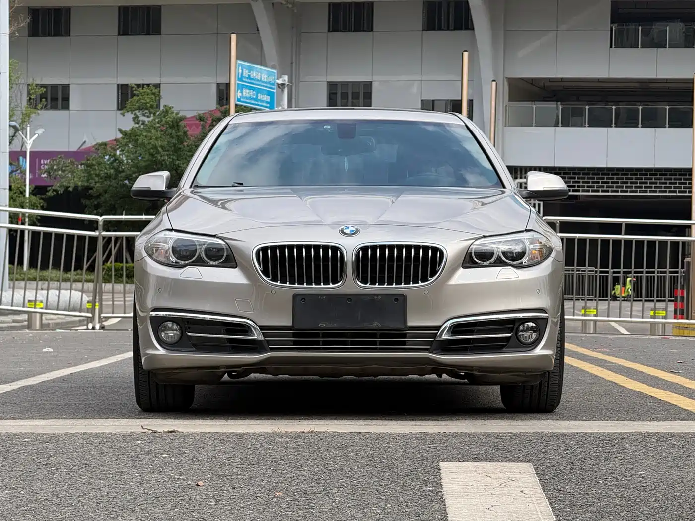 BMW 5 Series 2013 520Li Elegance фото 2