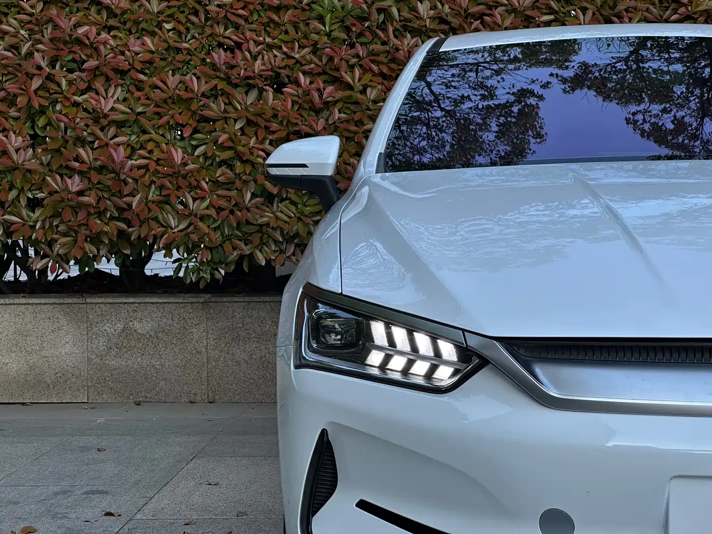BYD Qin PLUS 2021 EV 400KM Luxury Model фото 15