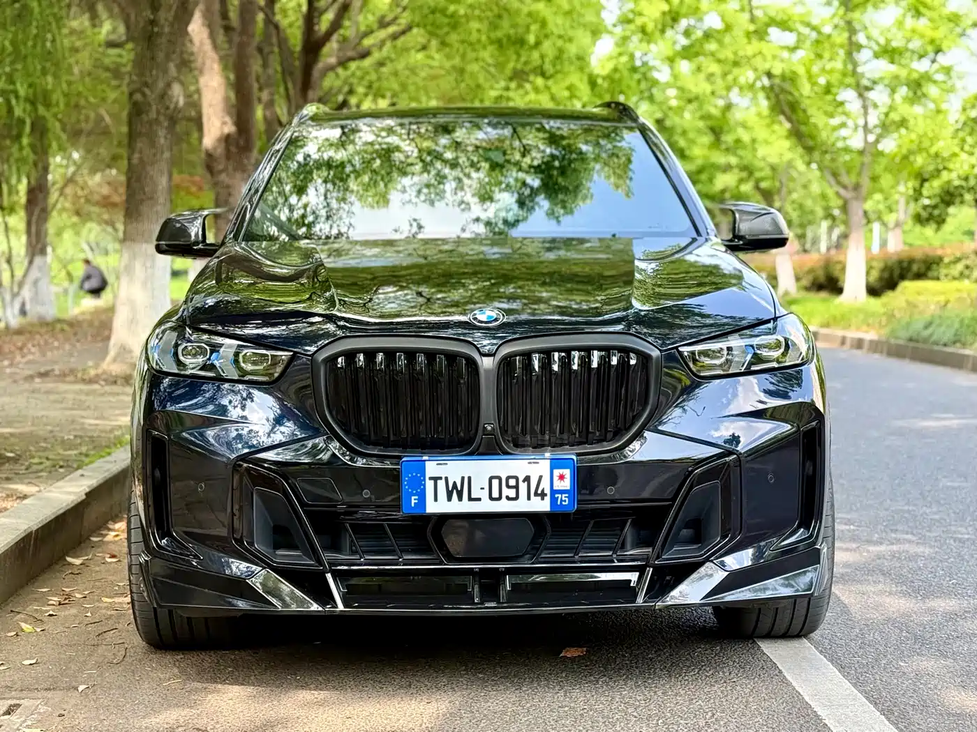 BMW X5 2023 xDrive 40Li M Sport Black Night Package фото 2