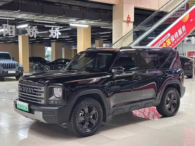 Haval Meng Long NEV 2024