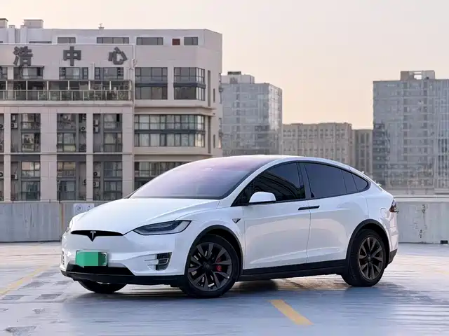 TESLA MODEL X 2020