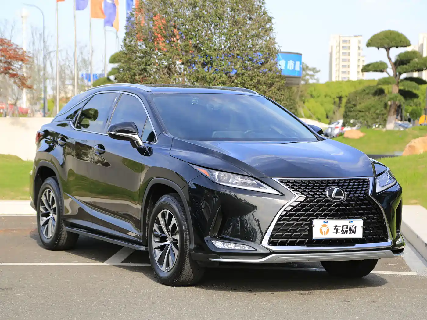 LEXUS RX